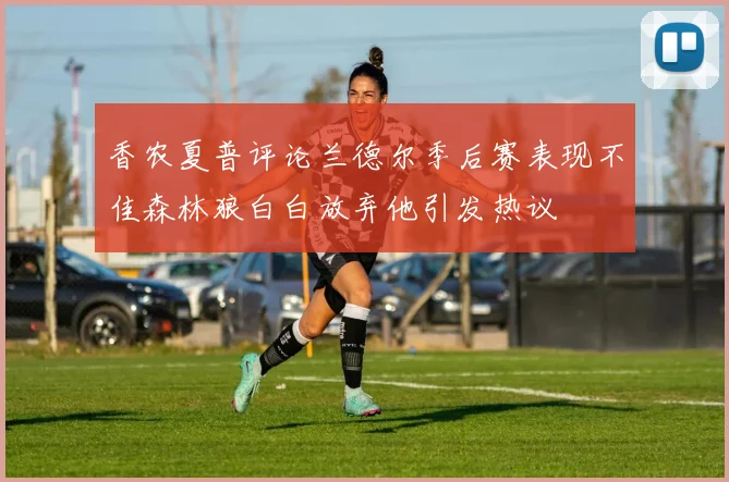 香农夏普评论兰德尔季后赛表现不佳森林狼白白放弃他引发热议